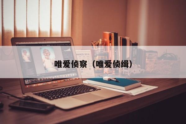 唯爱侦察(唯爱侦缉)
