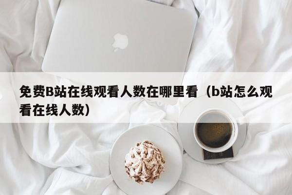 免费B站在线观看人数在哪里看(b站怎么观看在线人数)