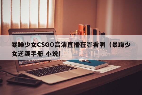 暴躁少女CSGO高清直播在哪看啊(暴躁少女逆袭手册 小说)