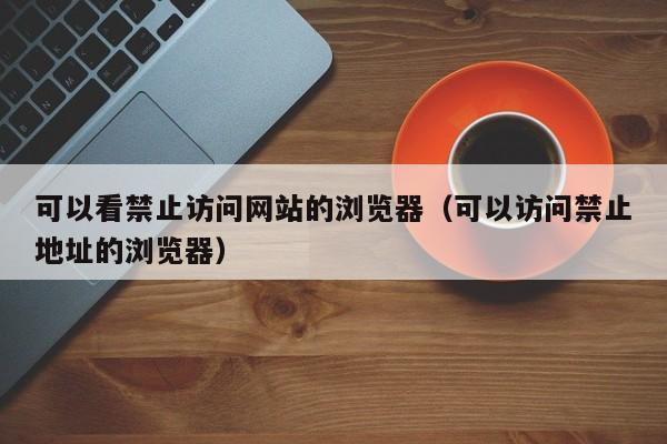 可以看禁止访问网站的浏览器(可以访问禁止地址的浏览器)