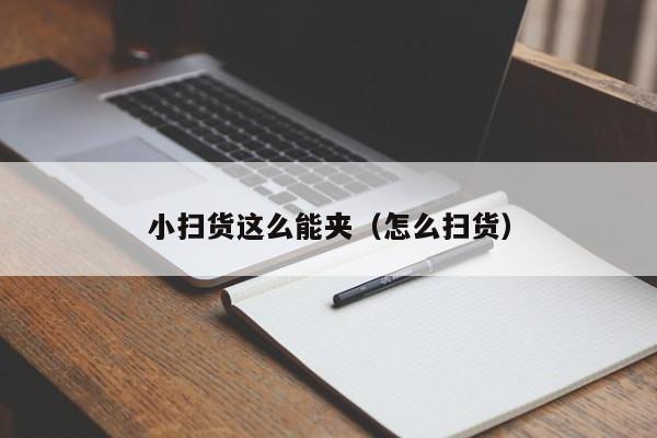 小扫货这么能夹(怎么扫货)