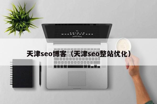 天津seo博客(天津seo整站优化)