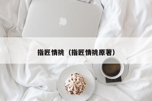 指匠情挑(指匠情挑原著)