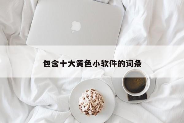 包含十大黄色小软件的词条