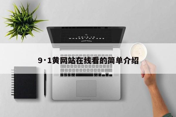9·1黄网站在线看的简单介绍
