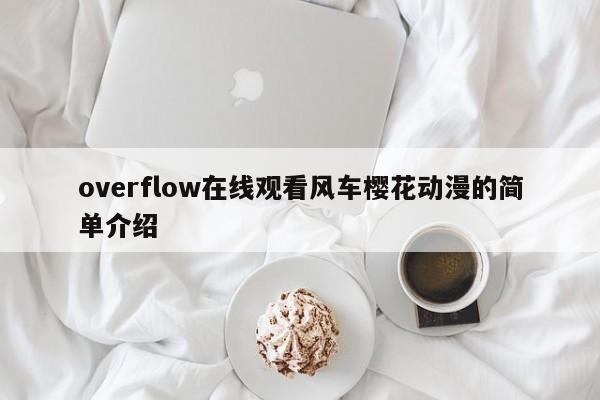 overflow在线观看风车樱花动漫的简单介绍