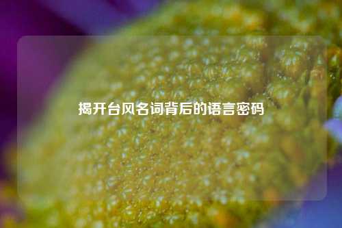 揭开台风名词背后的语言密码