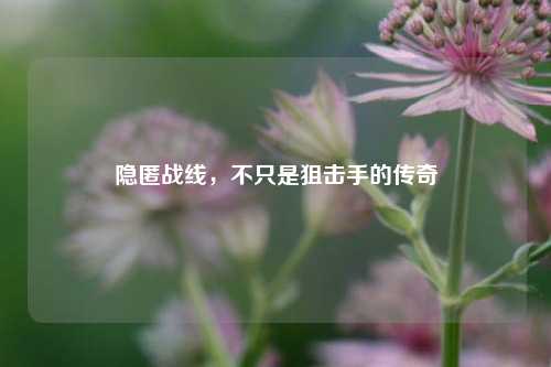 隐匿战线，不只是狙击手的传奇