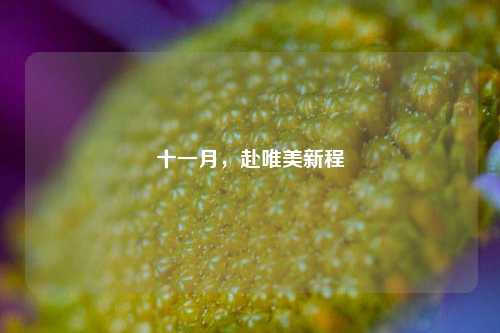 十一月，赴唯美新程
