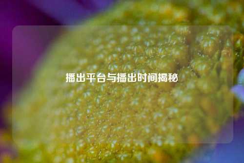 播出平台与播出时间揭秘