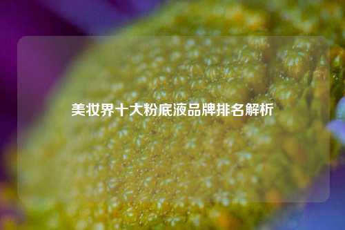 美妆界十大粉底液品牌排名解析