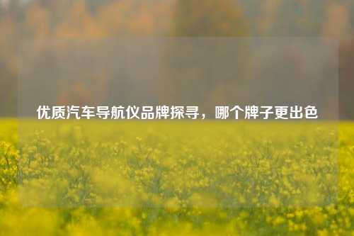 优质汽车导航仪品牌探寻，哪个牌子更出色