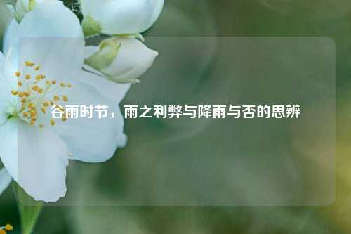 谷雨时节，雨之利弊与降雨与否的思辨