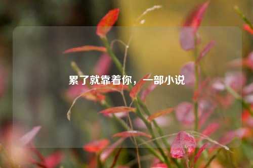 累了就靠着你，一部小说