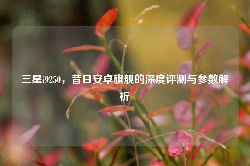 三星i9250，昔日安卓旗舰的深度评测与参数解析
