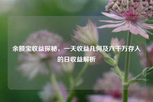 余额宝收益探秘，一天收益几何及六千万存入的日收益解析