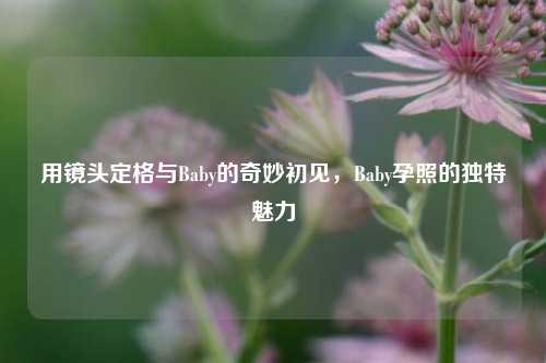 用镜头定格与Baby的奇妙初见，Baby孕照的独特魅力