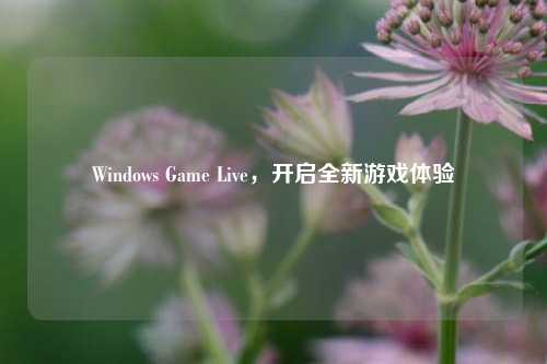 Windows Game Live，开启全新游戏体验