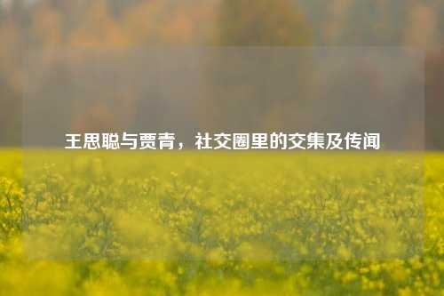 王思聪与贾青，社交圈里的交集及传闻