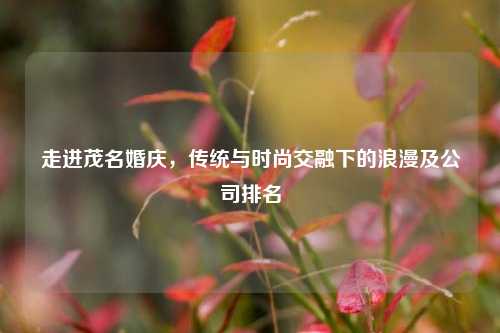 走进茂名婚庆，传统与时尚交融下的浪漫及公司排名