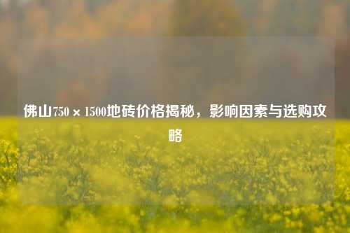 佛山750×1500地砖价格揭秘，影响因素与选购攻略