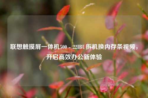 联想触摸屏一体机500 - 22IBU拆机换内存条视频，开启高效办公新体验