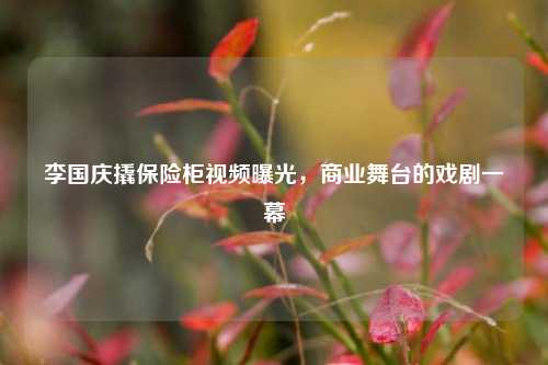 李国庆撬保险柜视频曝光，商业舞台的戏剧一幕