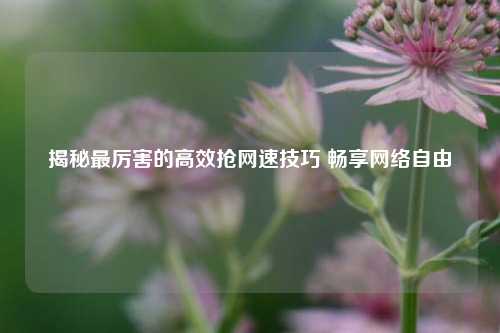 揭秘最厉害的高效抢网速技巧 畅享     自由