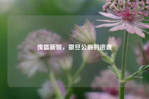 傀儡新娘，撒旦公爵的逃妻
