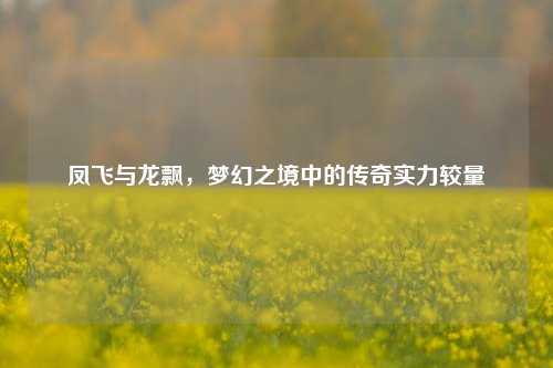 凤飞与龙飘，梦幻之境中的传奇实力较量