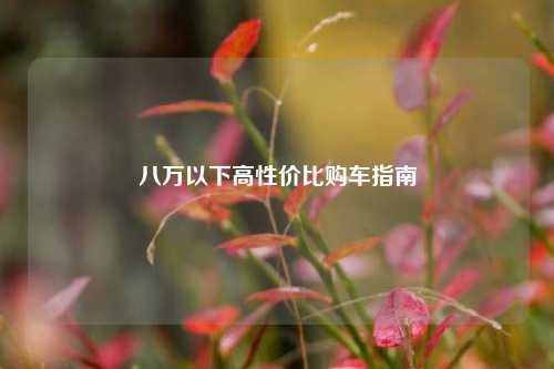 八万以下高性价比购车指南