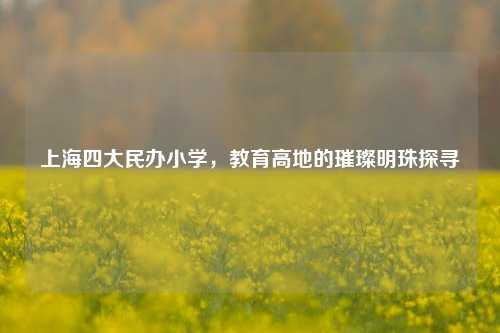 上海四大民办小学，教育高地的璀璨明珠探寻