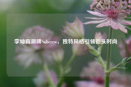 李灿森潮牌Subcrew,独特风格引领街头时尚