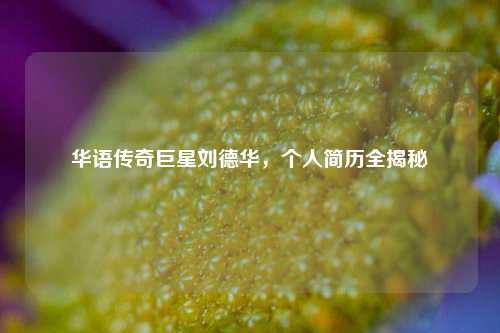 华语传奇巨星刘德华，个人简历全揭秘
