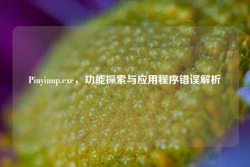 Pinyinup.exe,功能探索与应用程序错误解析