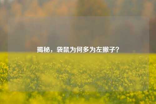 揭秘，袋鼠为何多为左撇子？