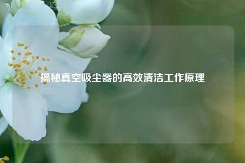揭秘真空吸尘器的高效清洁工作原理