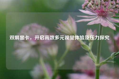 双屏显卡，开启高效多元视觉体验及压力探究