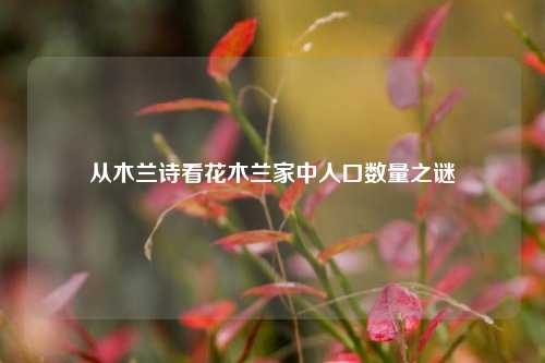 从木兰诗看花木兰家中人口数量之谜