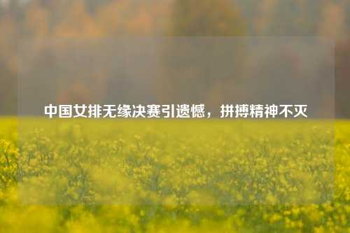 中国女排无缘决赛引遗憾，拼搏精神不灭
