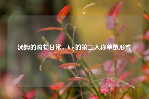 汤姆的购物日常,buy的第三人称单数形式