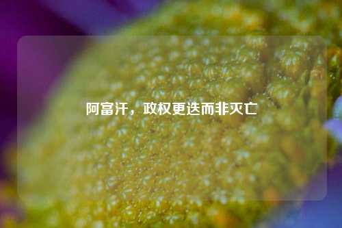 阿富汗,政权更迭而非灭亡