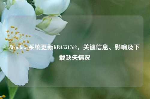 Windows系统更新KB4551762,关键信息、影响及下载缺失情况