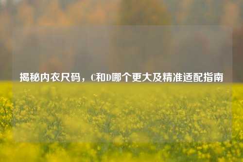 揭秘内衣尺码,C和D哪个更大及精准适配指南