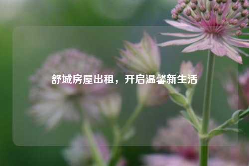 舒城房屋出租,开启温馨新生活