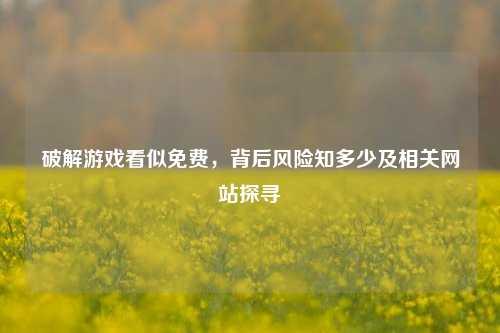 破解游戏看似免费,背后风险知多少及相关网站探寻