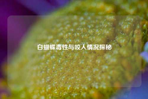 白蝴蝶毒性与咬人情况探秘