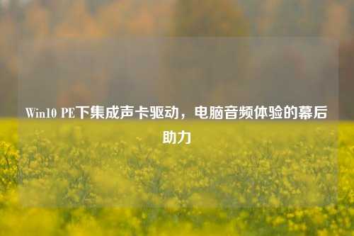 Win10 PE下集成声卡驱动,电脑音频体验的幕后助力