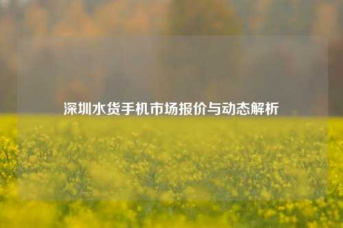 深圳水货手机市场报价与动态解析