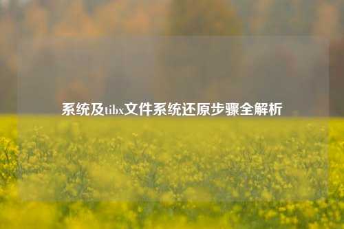 系统及tibx文件系统还原步骤全解析
